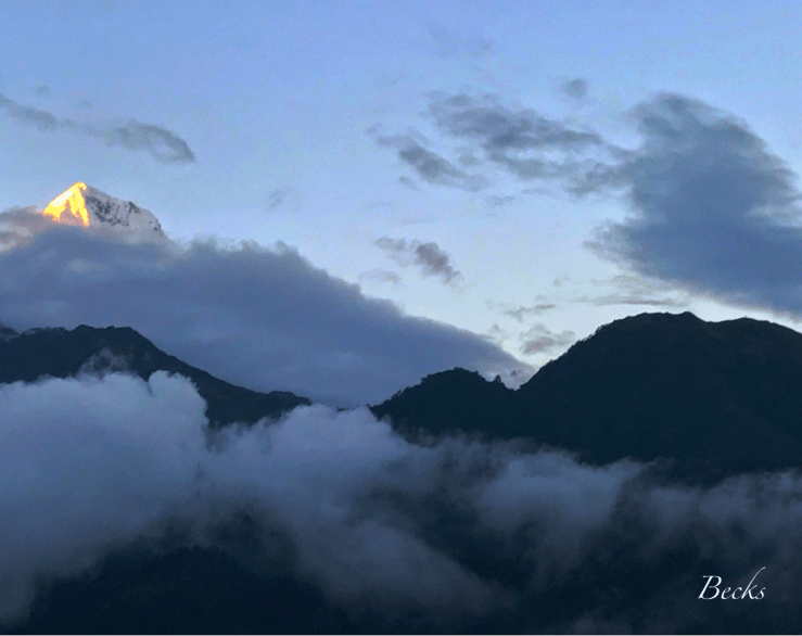 36746410024_94b2bc3fa6_o