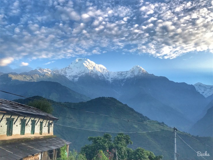 37276108820_c9bab28349_o