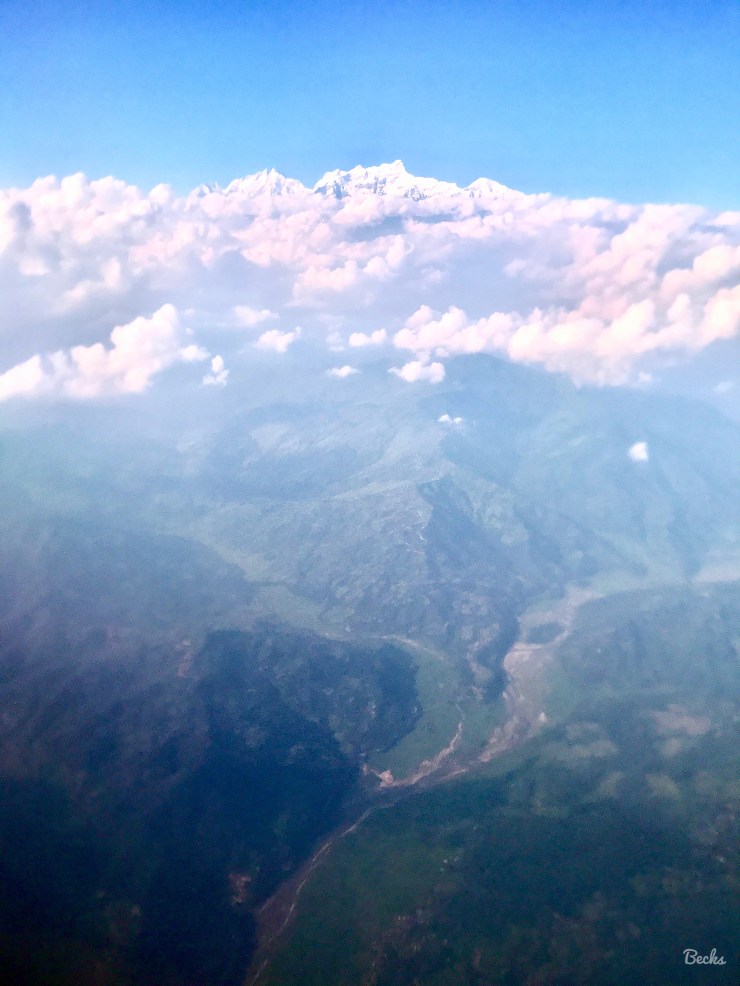 37534577001_a18aac47fa_o